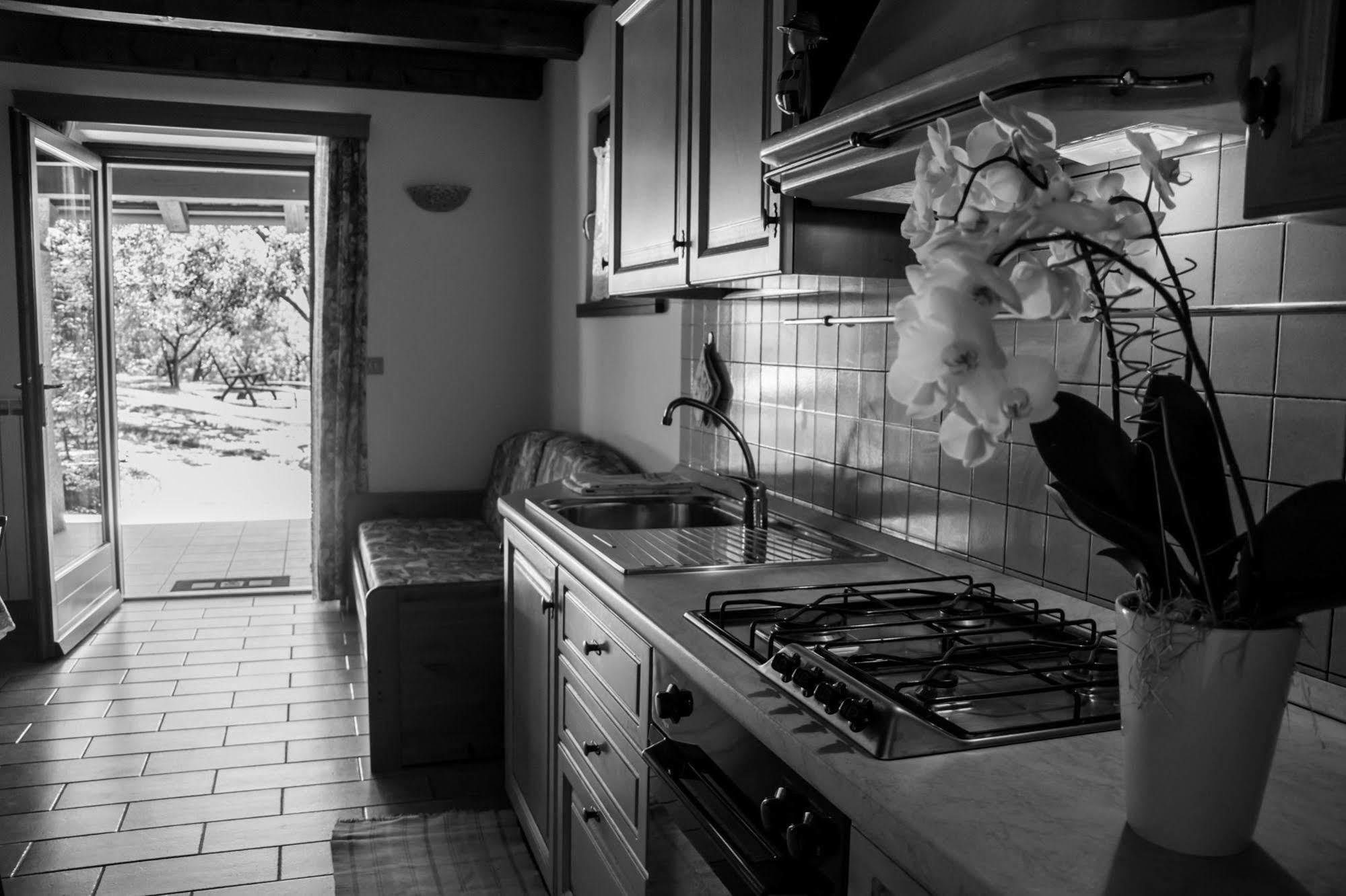 Terra Del Carso Villa San Pelagio Екстериор снимка