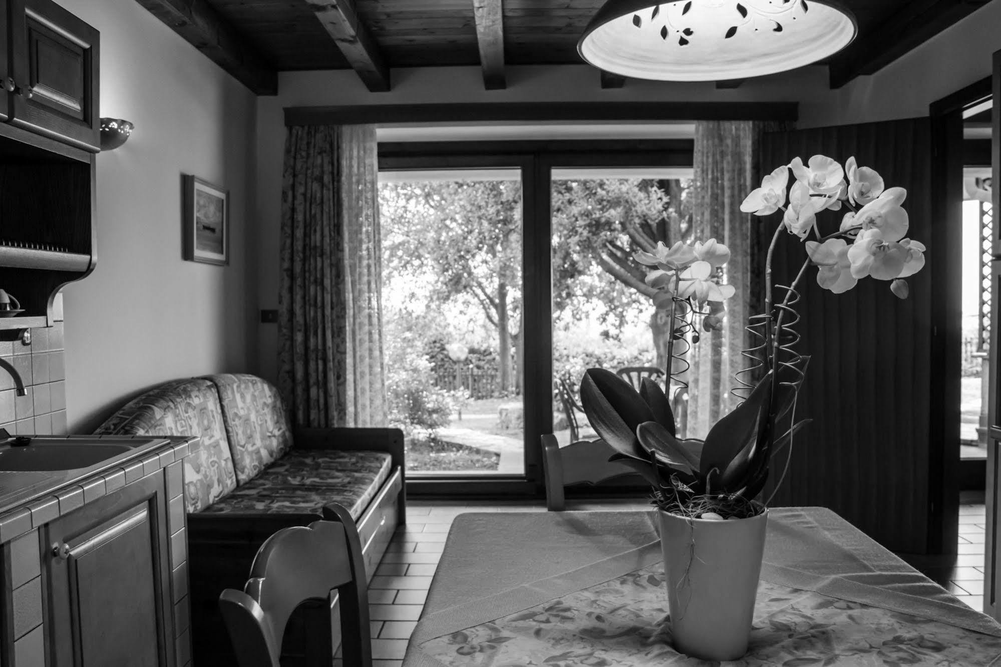 Terra Del Carso Villa San Pelagio Екстериор снимка